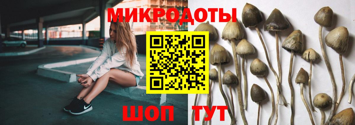 Югорск  Галлюциногенные грибы MAGIC MUSHROOMS  Вход с VPN 